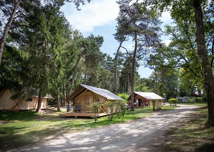 キャンプ場 La Pinede エクヌヴェクス