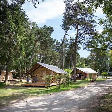 Camping La Pinède Excenevex