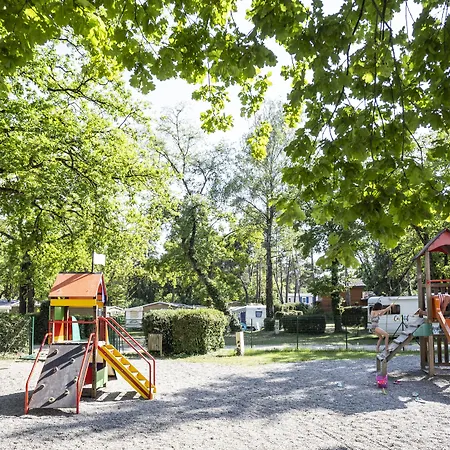 La Pinede